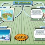 Gli ecosistemi - Scienze per la Primaria - Schooltoon