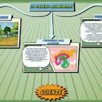 Le catene alimentari - Scienze per la Primaria - Schooltoon