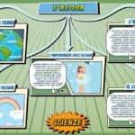 L’acqua - Scienze per la Primaria - Schooltoon