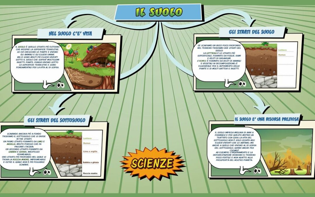 Il suolo – Scienze per la Primaria – Schooltoon