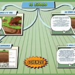 Il suolo - Scienze per la Primaria - Schooltoon