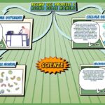 Regno dei protisti e regno delle monere  - Scienze per la Primaria - Schooltoon