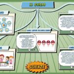 Il gusto - Scienze per la Primaria - Schooltoon