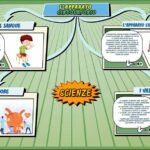 L'apparato circolatorio - Scienze per la Primaria - Schooltoon