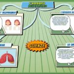 L'apparato respiratorio - Scienze per la Primaria - Schooltoon