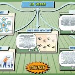 La vista - Scienze per la Primaria - Schooltoon