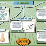 L'olfatto - Scienze per la Primaria - Schooltoon