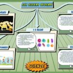 Gli esseri viventi - Scienze per la Primaria - Schooltoon