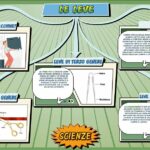 Le leve - Scienze per la Primaria - Schooltoon