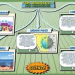 Fonti rinnovabili e non rinnovabili - Scienze per la Primaria - Schooltoon