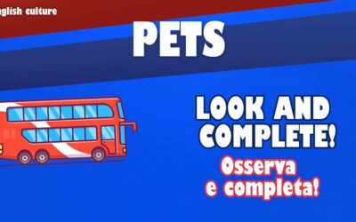 Pets – Exercises – Welcome on board – We will learn english together – Schooltoon