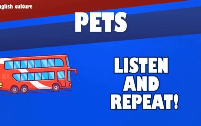 Pets – Welcome on board – We will learn english together – Schooltoon