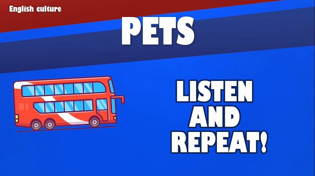 Pets – Welcome on board – We will learn english together – Schooltoon