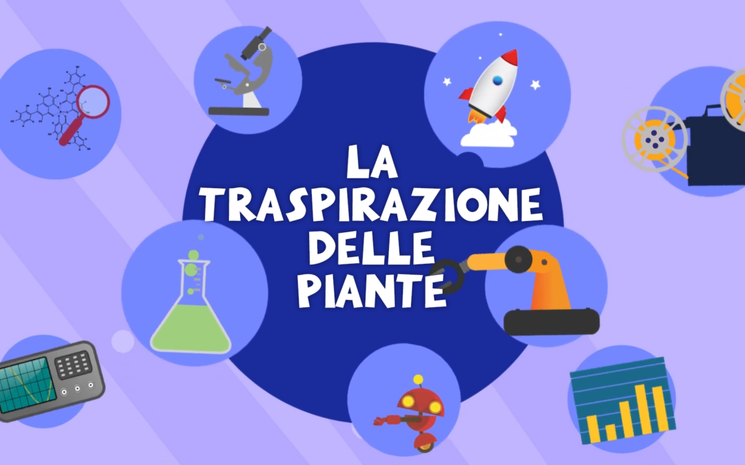 La traspirazione delle piante
